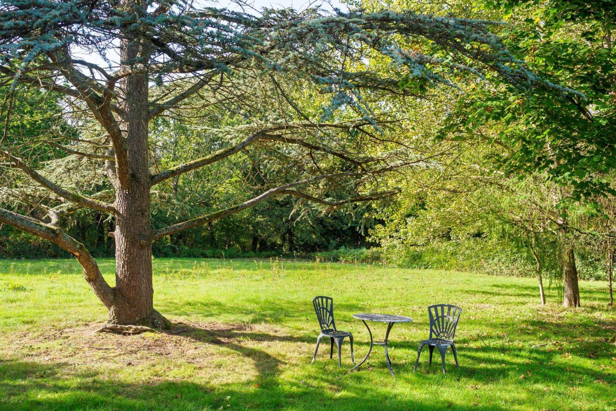 Country Cottage 2Br With Hot Tub And Tennis Court Chiddingly Exteriör bild